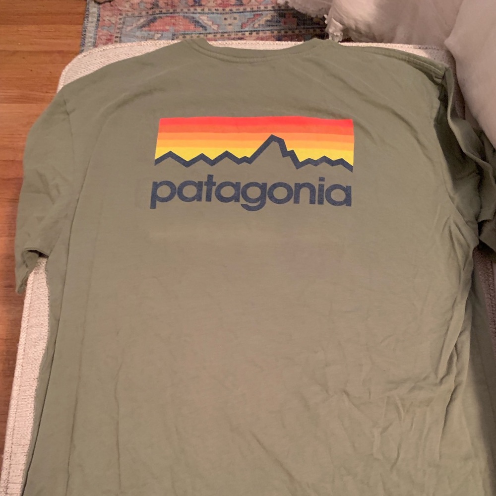 Patagonia T-shirt